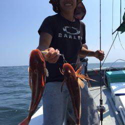 ファイヤードルフィン 釣果