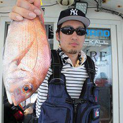 松本釣船２ 釣果