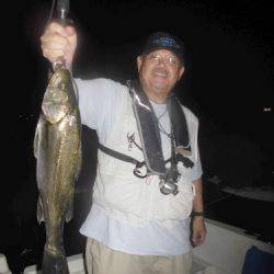 ルアー船マヒマヒ 釣果