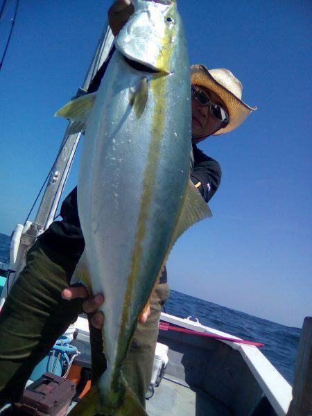 ファイヤードルフィン 釣果