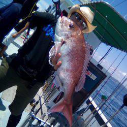 ファイヤードルフィン 釣果