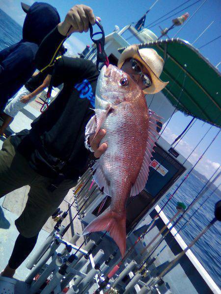 ファイヤードルフィン 釣果