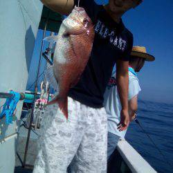 ファイヤードルフィン 釣果