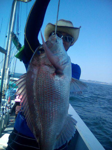 ファイヤードルフィン 釣果