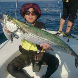 オーシャンマスター 釣果