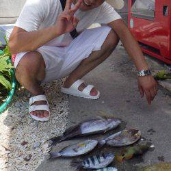 本部釣りイカダ 釣果