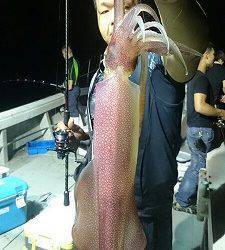 海龍丸 釣果