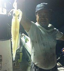 海龍丸 釣果