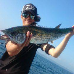 ファイヤードルフィン 釣果