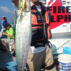 ファイヤードルフィン 釣果