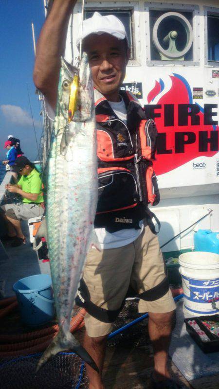 ファイヤードルフィン 釣果