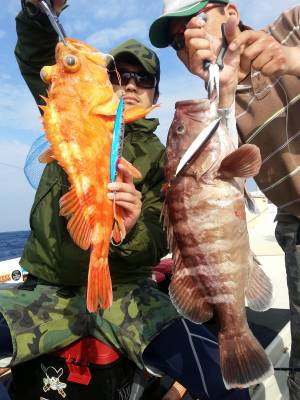 Fishing Guide OCEAN（沖吉丸） 釣果