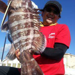 Fishing Guide OCEAN（沖吉丸） 釣果