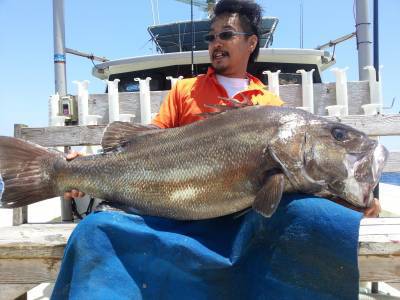 Fishing Guide OCEAN（沖吉丸） 釣果