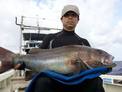 Fishing Guide OCEAN（沖吉丸） 釣果