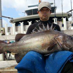 Fishing Guide OCEAN（沖吉丸） 釣果