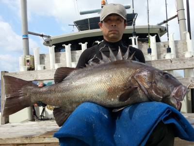 Fishing Guide OCEAN（沖吉丸） 釣果