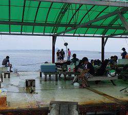 本部釣りイカダ 釣果