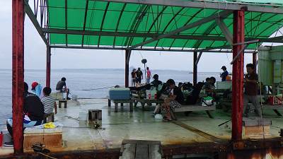 本部釣りイカダ 釣果