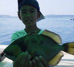 本部釣りイカダ 釣果