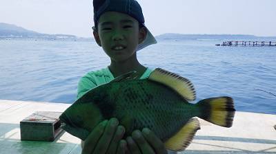 本部釣りイカダ 釣果
