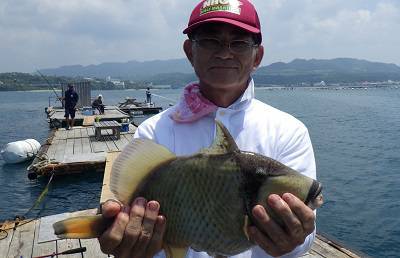 本部釣りイカダ 釣果