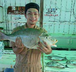本部釣りイカダ 釣果