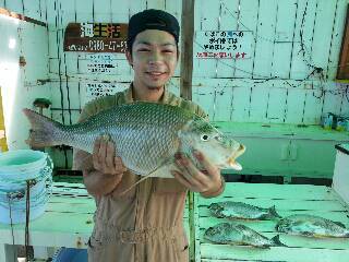 本部釣りイカダ 釣果