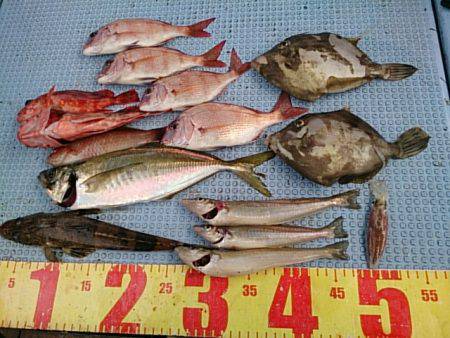 第二常豊丸 釣果