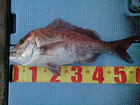 第二常豊丸 釣果