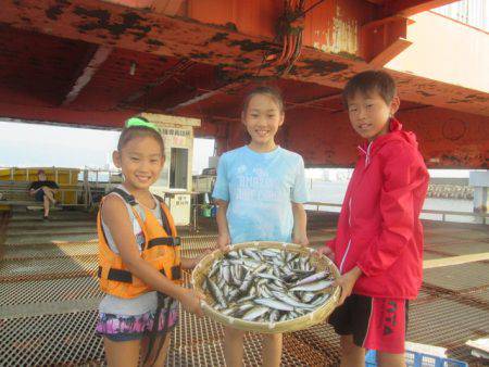 尼崎市立魚つり公園 釣果