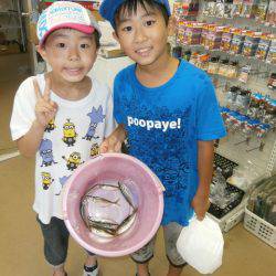 大阪南港海つり公園 釣果