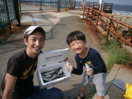 大阪南港海つり公園 釣果