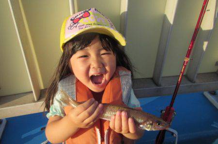オリジナルメーカー海づり公園(市原市海づり施設) 釣果