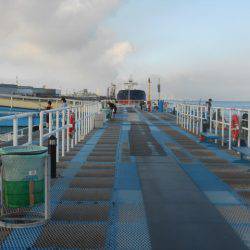 オリジナルメーカー海づり公園(市原市海づり施設) 釣果