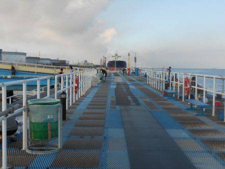 オリジナルメーカー海づり公園(市原市海づり施設) 釣果