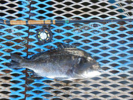 オリジナルメーカー海づり公園(市原市海づり…