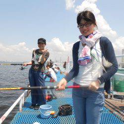 オリジナルメーカー海づり公園(市原市海づり施設) 釣果