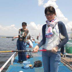 オリジナルメーカー海づり公園(市原市海づり施設) 釣果