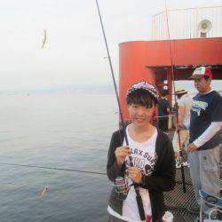 尼崎市立魚つり公園 釣果