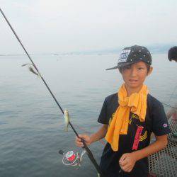 尼崎市立魚つり公園 釣果