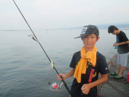 尼崎市立魚つり公園 釣果