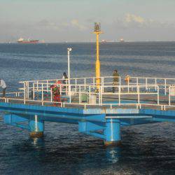 オリジナルメーカー海づり公園(市原市海づり施設) 釣果