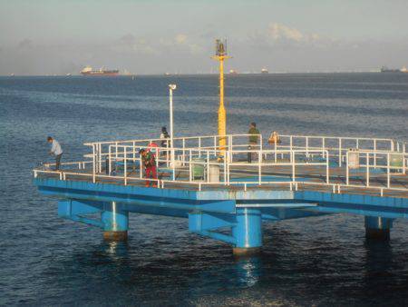 オリジナルメーカー海づり公園(市原市海づり施設) 釣果