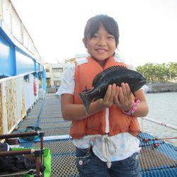 オリジナルメーカー海づり公園(市原市海づり施設) 釣果