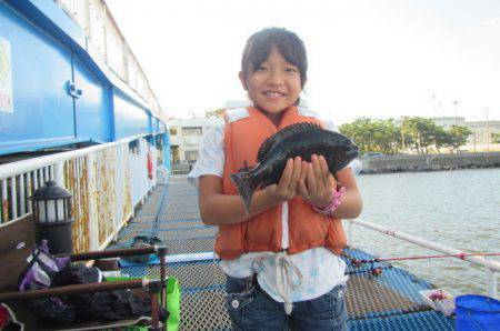 オリジナルメーカー海づり公園(市原市海づり施設) 釣果