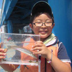 オリジナルメーカー海づり公園(市原市海づり施設) 釣果