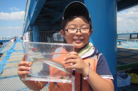 オリジナルメーカー海づり公園(市原市海づり施設) 釣果