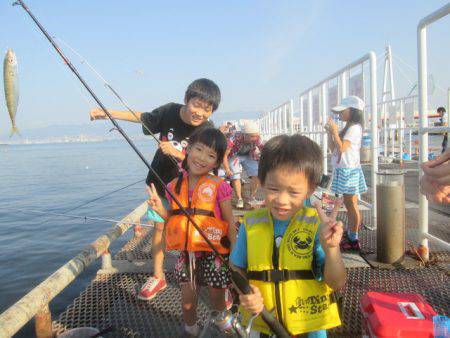 尼崎市立魚つり公園 釣果