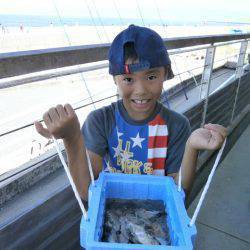 大阪南港海つり公園 釣果